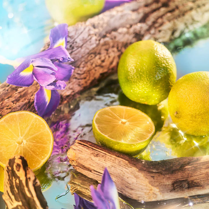 Oceania - Roja Parfums (New Parfum)