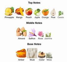 Synergy by Scentsologia